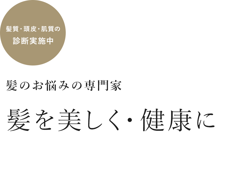 髪のお悩みの専門家 髪を美しく・健康に